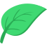 Leaf icon