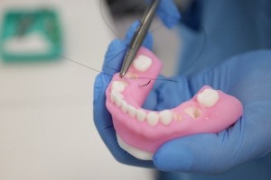 Stratasys представила анатомічну модель зубів для навчання