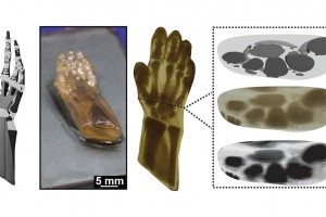 Університет Техасу та нацлабораторії запускають CRAFT для анатомічного 3D-друку.