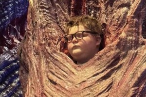 3D-друк у серіалі «Дивні дива»