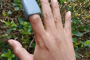 Макс Етерніті представляє Finger Maus
