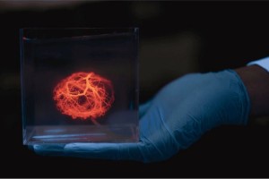 3D-друковані кровоносні судини, крок до штучних органів