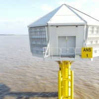 3D-печать поощряет гнездование исчезающих морских птиц