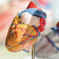 Cardiopatch, проєкт, заснований на 3D-друці для лікування проблем із серцем